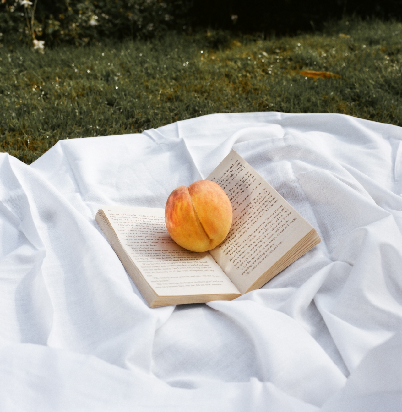 15 smut books for spicy book readers of every level.